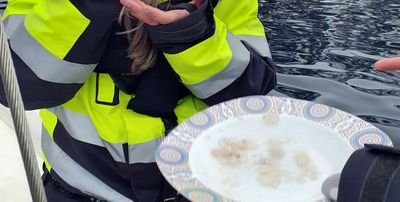 Person in yellow jacket holding a plate of food, standing in front of a body of water.