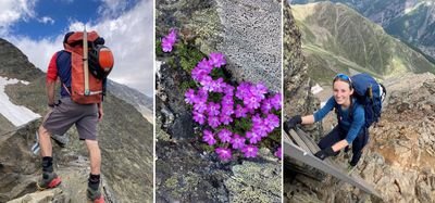 Bergsteiger mit Rucksack und Helm auf Felsgrat; Frau klettert mit Helm und Handschuhen; Alpenblumen.