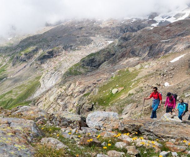Group of hikers following a blue-white marked hiking path