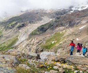 Group of hikers following a blue-white marked hiking path
