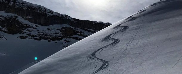 Ski track in powder snow