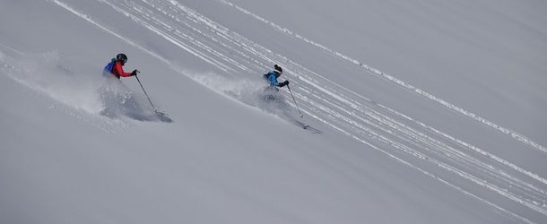 People doing deep snow skiing