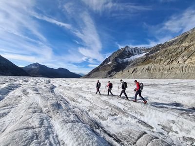 Four people are hiking across the Aletsch Glacier.