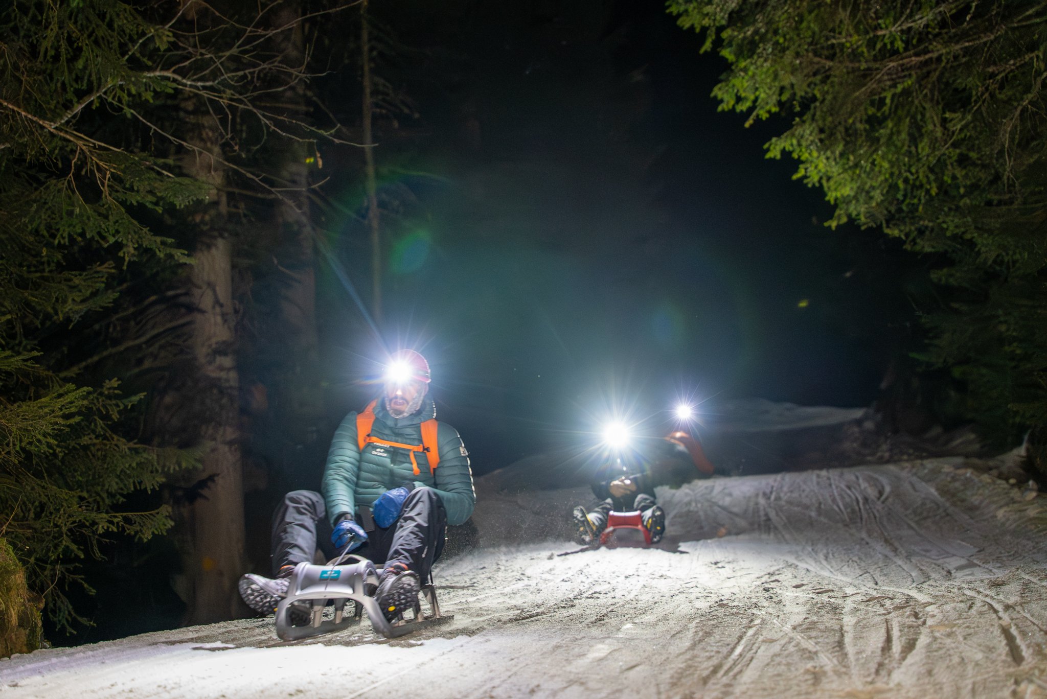 Night Sledding in Interlaken: Follow the Moon into a Quieter Winter