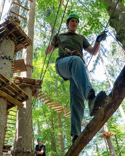 Personen mit Helmen und Gurten auf Hochseilgarten-Parcours im Wald.