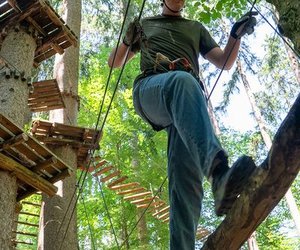 People with helmets and harnesses on a high ropes course in the forest.