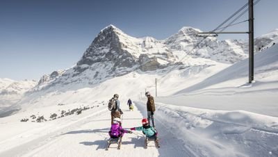 Personen rodeln im Schnee vor einer Bergkulisse, tragen Winterkleidung und Helme.