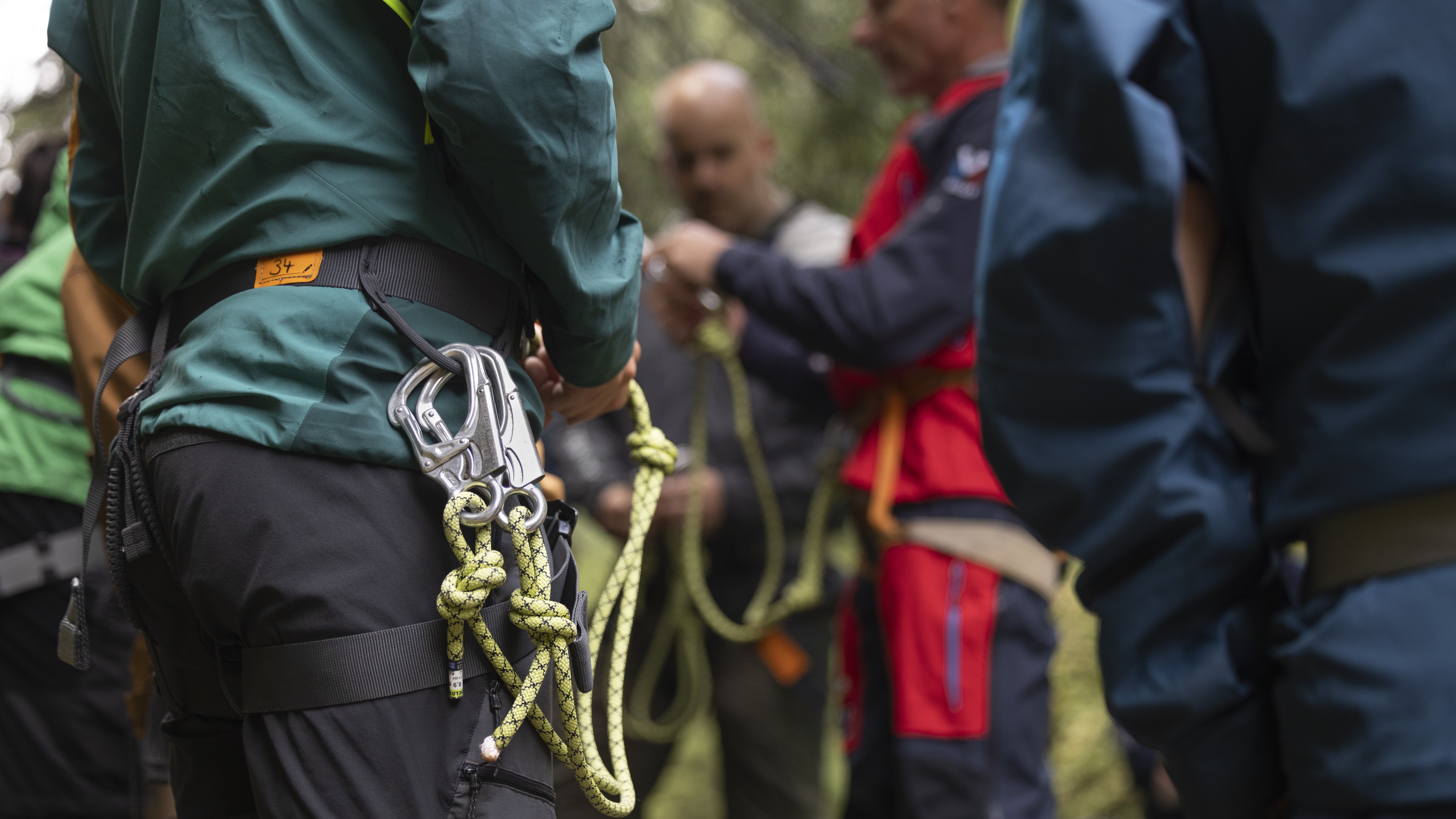 People with climbing harnesses and ropes in the forest, focusing on safety equipment.