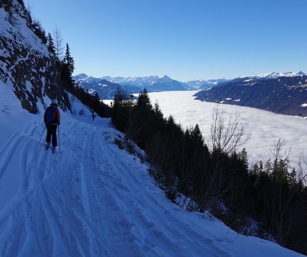 Ski tourers descending with a sea of fog