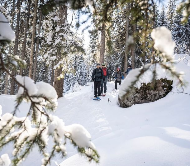Group of snowshoe hikers in the forest