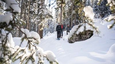 Group of snowshoe hikers in the forest