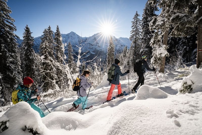 Four people with hiking poles and backpacks are walking through a snowy forest in the mountains.