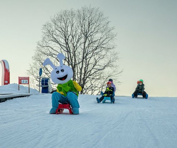 Three people sledding on snow, one in a rabbit costume, others in helmets and winter gear.