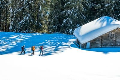 Three people snowshoeing near a snow-covered cabin in a forested mountain area, carrying backpacks.