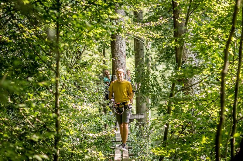Person geht auf einer schmalen Holzbrücke im Seilpark Interlaken durch die grünen Baumkronen