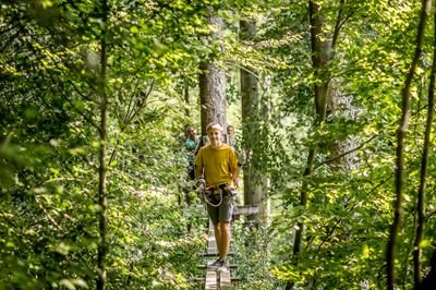 Person geht auf einer schmalen Holzbrücke im Seilpark Interlaken durch die grünen Baumkronen