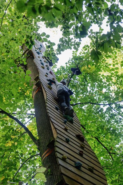 Person klettert an einer baummontierten Holzwand mit Klettergriffen im Seilpark Rigi
