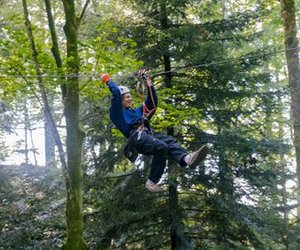 Person riding a zipline through the forest is wearing a helmet, a safety harness, and gloves, surrounded by trees.