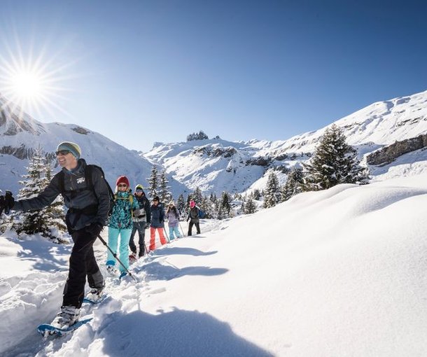 People with snowshoes and poles are hiking in a snowy mountain landscape in the sunshine.