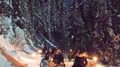 People are sledding at night on a snowy forest path, surrounded by torches and fir trees.