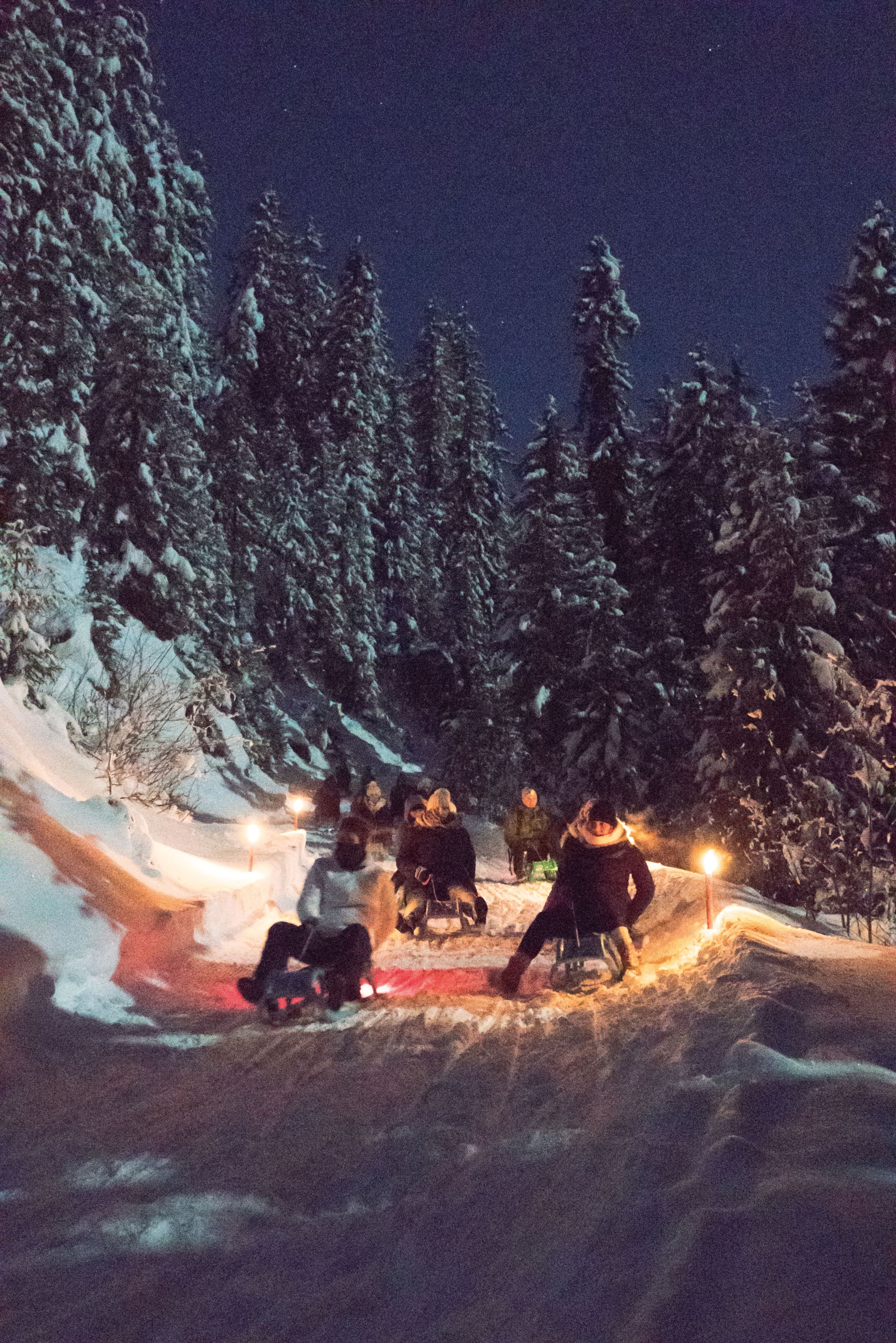 People are sledding at night on a snowy forest path, surrounded by torches and fir trees.